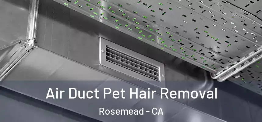 Air Duct Pet Hair Removal Rosemead - CA