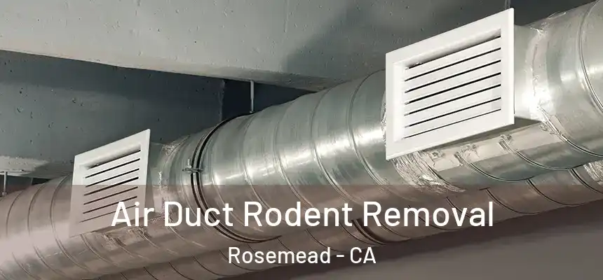  Air Duct Rodent Removal Rosemead - CA