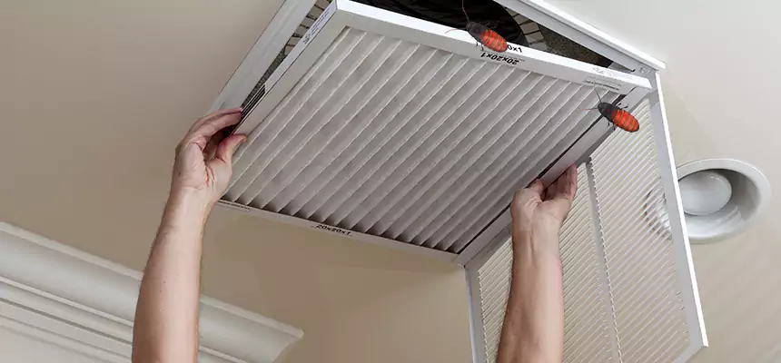 Preventive Cockroach-Proofing for Ducts in Rosemead