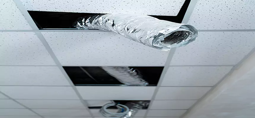 Affordable HVAC Sanitizing After Pest Removal in Rosemead