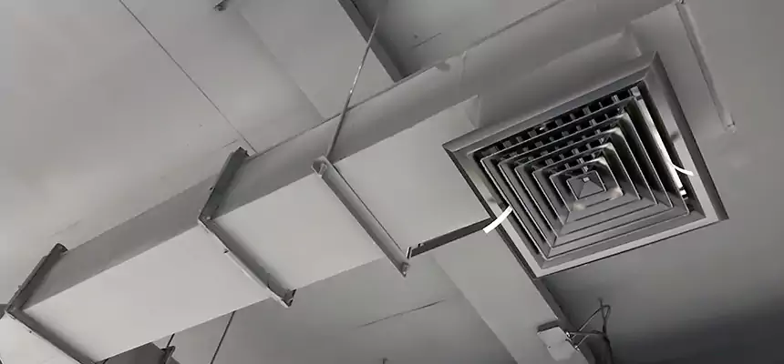 Our Rodent Droppings In Vents Services in Rosemead, CA