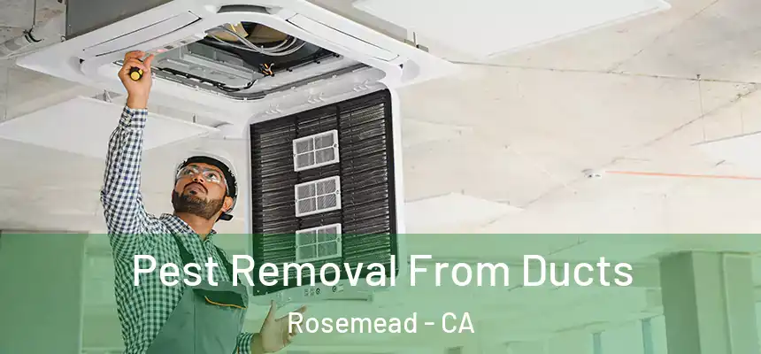Pest Removal From Ducts Rosemead - CA