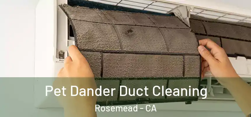 Pet Dander Duct Cleaning Rosemead - CA