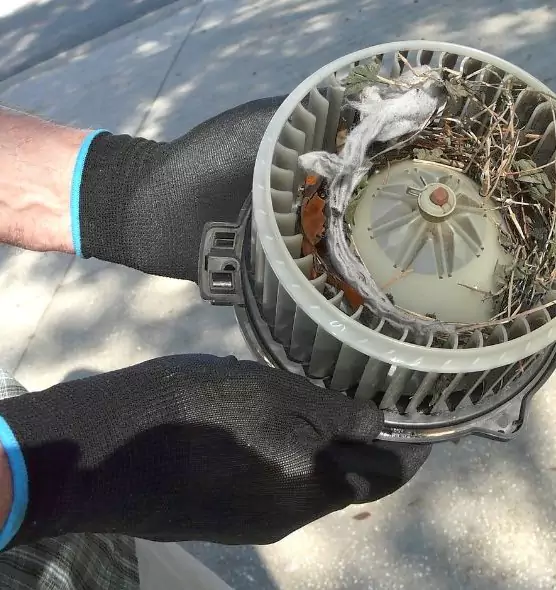 About Air Duct Rat Removal in Rosemead, CA