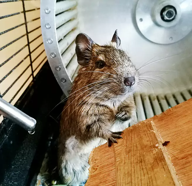 Why Homeowners & Businesses Trust Us Rosemead, CA?